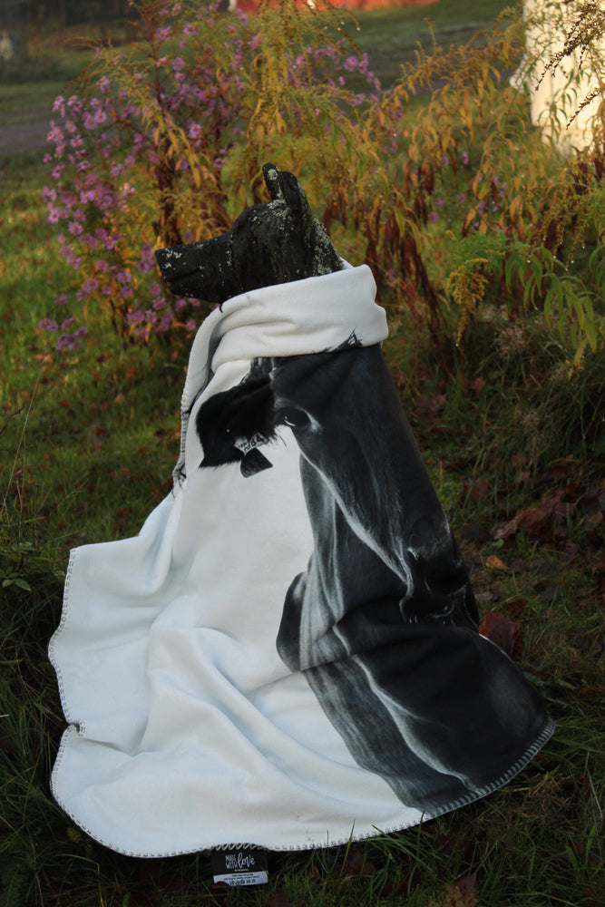 <transcy>Torkkupeitto</transcy>